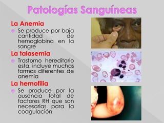 Sella la herida.Parte LiquidaPlasma:Es un líquido incoloro, formado por agua y otras sustancias como nutrientes, azucares, minerales, hormonas, especialmente sales