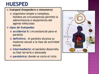  huésped (hospedero o mesonero)
 organismo simple o complejo,
hombre,en circunstancias permite la
sobrevivencia o alojamiento del
agente infeccioso
 tipos de huéspedes
 accidental h: circunstancial para el
parásito
 definitivo: el parásito alcanza su
madurez sexual o la fase de actividad
sexual
 intermediario: el parásito desarrolla
su fase larvaria o asexuada
 paraténico: donde se corta el ciclo
 
