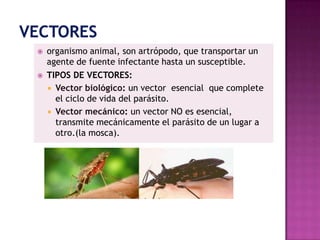  organismo animal, son artrópodo, que transportar un
agente de fuente infectante hasta un susceptible.
 TIPOS DE VECTORES:
 Vector biológico: un vector esencial que complete
el ciclo de vida del parásito.
 Vector mecánico: un vector NO es esencial,
transmite mecánicamente el parásito de un lugar a
otro.(la mosca).
 