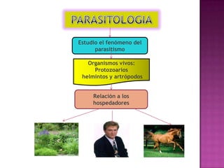 Estudio el fenómeno del
parasitismo
Organismos vivos:
Protozoarios
helmintos y artrópodos
Relación a los
hospedadores
 