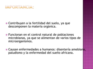  Contribuyen a la fertilidad del suelo, ya que
descomponen la materia orgánica.
 Funcionan en el control natural de poblaciones
microbianas, ya que se alimentan de varios tipos de
microorganismos.
 Causan enfermedades a humanos: disentería amebiana,
paludismo y la enfermedad del sueño africana.
 