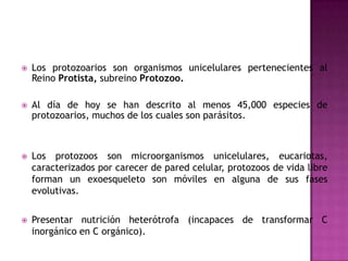  Los protozoarios son organismos unicelulares pertenecientes al
Reino Protista, subreino Protozoo.
 Al día de hoy se han descrito al menos 45,000 especies de
protozoarios, muchos de los cuales son parásitos.
 Los protozoos son microorganismos unicelulares, eucariotas,
caracterizados por carecer de pared celular, protozoos de vida libre
forman un exoesqueleto son móviles en alguna de sus fases
evolutivas.
 Presentar nutrición heterótrofa (incapaces de transformar C
inorgánico en C orgánico).
 