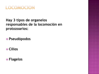 Hay 3 tipos de organelos
responsables de la locomoción en
protozoarios:
 Pseudópodos
 Cilios
 Flagelos
 