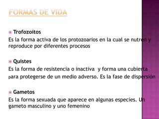  Trofozoítos
Es la forma activa de los protozoarios en la cual se nutren y
reproduce por diferentes procesos
 Quistes
Es la forma de resistencia o inactiva y forma una cubierta
para protegerse de un medio adverso. Es la fase de dispersión
 Gametos
Es la forma sexuada que aparece en algunas especies. Un
gameto masculino y uno femenino
 