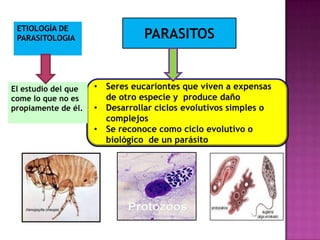 PARASITOS
• Seres eucariontes que viven a expensas
de otro especie y produce daño
• Desarrollar ciclos evolutivos simples o
complejos
• Se reconoce como ciclo evolutivo o
biológico de un parásito
El estudio del que
come lo que no es
propiamente de él.
 