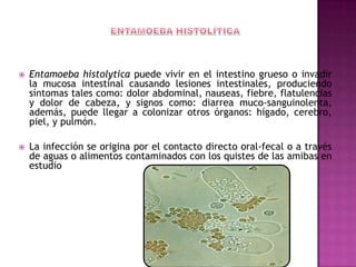  Entamoeba histolytica puede vivir en el intestino grueso o invadir
la mucosa intestinal causando lesiones intestinales, produciendo
síntomas tales como: dolor abdominal, nauseas, fiebre, flatulencias
y dolor de cabeza, y signos como: diarrea muco-sanguinolenta,
además, puede llegar a colonizar otros órganos: hígado, cerebro,
piel, y pulmón.
 La infección se origina por el contacto directo oral-fecal o a través
de aguas o alimentos contaminados con los quistes de las amibas en
estudio
 