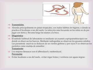 
 Transmisión
 Abunda principalmente en países tropicales, con malos hábitos de higiene, o donde se
practica el fecalismo a ras del suelo. La infección más frecuente en los niños se da por
jugar con tierra y llevarse luego las manos a la boca.
 Diagnóstico
 El método habitual de laboratorio es mediante un examen coproparasitoscópico en
donde se observan los huevos. Mediante radiografías se observan los gusanos adultos.
Las parasitosis masivas se deducen de un vientre globoso y por rayos X se observan los
parásitos como madeja de estambre.
Tratamiento
 Los mejores fármacos son el albendazol y mebendazol.
Prevención
 Evitar fecalismo a ras del suelo, evitar regar frutas y verduras con aguas negras.
 