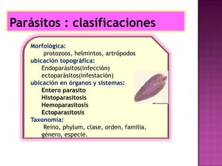 Parásitos : clasificaciones
Morfológica:
protozoos, helmintos, artrópodos
ubicación topográfica:
Endoparásitos(infección)
ectoparásitos(infestación)
ubicación en órganos y sistemas:
Entero parasito
Histoparasitosis
Hemoparasitosis
Ectoparasitosis
Taxonomía:
Reino, phylum, clase, orden, familia,
género, especie.
 