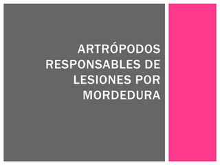 ARTRÓPODOS
RESPONSABLES DE
LESIONES POR
MORDEDURA
 