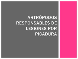 ARTRÓPODOS
RESPONSABLES DE
LESIONES POR
PICADURA
 