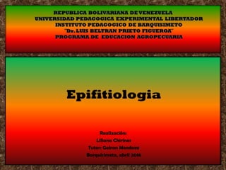 Epifitiologia
Realización:
Liliana Chirinos
Tutor: Geiran Mendoza
Barquisimeto, abril 2016
 