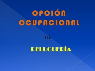 OPCIÓN OCUPACIONALDEPELUQUERÍA