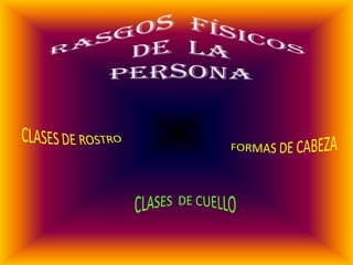 Cada forma de rostro requiere un peinado especial.