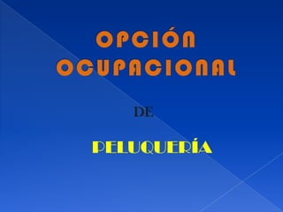 OPCIÓN OCUPACIONAL DE PELUQUERÍA 