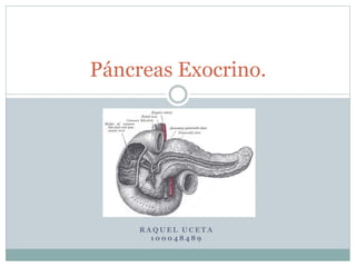 Páncreas Exocrino. 
RAQUEL UC ETA 
1 0 0 0 4 8 4 8 9 
 
