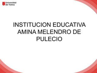 INSTITUCION EDUCATIVA
AMINA MELENDRO DE
PULECIO
 