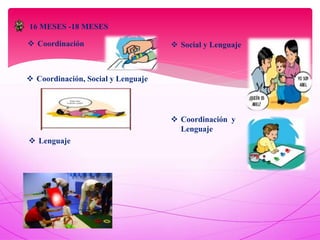 16 MESES -18 MESES
 Coordinación  Social y Lenguaje
 Coordinación, Social y Lenguaje
 Coordinación y
Lenguaje
 Lenguaje
 
