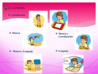 22 A 24 MESES
 Coordinación
 Motora  Motora y
Coordinación
 Motora y Lenguaje  Lenguaje
 