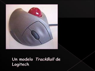 MOUSE:1513