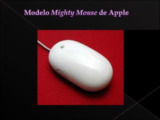 MOUSE:1513
