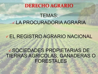 TEMAS:
 LA PROCURADORIA AGRARIA
 EL REGISTRO AGRARIO NACIONAL
 SOCIEDADES PROPIETARIAS DE
TIERRAS AGRICOLAS, GANADERAS O
FORESTALES
DERECHO AGRARIO
 