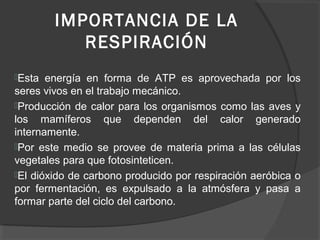 IMPORTANCIA DE LA
RESPIRACIÓN
Esta energía en forma de ATP es aprovechada por los
seres vivos en el trabajo mecánico.
Producción de calor para los organismos como las aves y
los mamíferos que dependen del calor generado
internamente.
Por este medio se provee de materia prima a las células
vegetales para que fotosinteticen.
El dióxido de carbono producido por respiración aeróbica o
por fermentación, es expulsado a la atmósfera y pasa a
formar parte del ciclo del carbono.
 