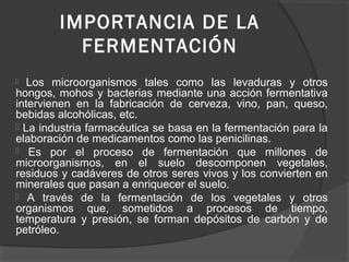 IMPORTANCIA DE LA
FERMENTACIÓN
 Los microorganismos tales como las levaduras y otros
hongos, mohos y bacterias mediante una acción fermentativa
intervienen en la fabricación de cerveza, vino, pan, queso,
bebidas alcohólicas, etc.
 La industria farmacéutica se basa en la fermentación para la
elaboración de medicamentos como las penicilinas.
 Es por el proceso de fermentación que millones de
microorganismos, en el suelo descomponen vegetales,
residuos y cadáveres de otros seres vivos y los convierten en
minerales que pasan a enriquecer el suelo.
 A través de la fermentación de los vegetales y otros
organismos que, sometidos a procesos de tiempo,
temperatura y presión, se forman depósitos de carbón y de
petróleo.
 
