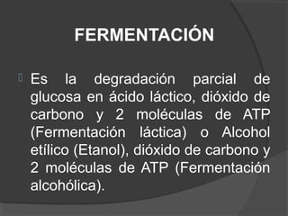 FERMENTACIÓN
 Es la degradación parcial de
glucosa en ácido láctico, dióxido de
carbono y 2 moléculas de ATP
(Fermentación láctica) o Alcohol
etílico (Etanol), dióxido de carbono y
2 moléculas de ATP (Fermentación
alcohólica).
 