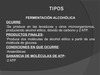 TIPOS
FERMENTACIÓN ALCOHÓLICA
OCURRE:
Se produce en las levaduras y otros microorganismos,
produciendo alcohol etílico, dióxido de carbono y 2 ATP.
PRODUCTOS FINALES:
Produce dos moléculas de alcohol etílico a partir de una
molécula de glucosa.
CONDICIONES EN QUE OCURRE:
Anaeróbicas
GANANCIA DE MOLÉCULAS DE ATP:
2 ATP
 