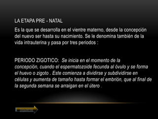 LA ETAPA PRE - NATAL
Es la que se desarrolla en el vientre materno, desde la concepción
del nuevo ser hasta su nacimiento. Se le denomina también de la
vida intrauterina y pasa por tres periodos :


PERIODO ZIGOTICO: Se inicia en el momento de la
concepción, cuando el espermatozoide fecunda al óvulo y se forma
el huevo o zigoto . Este comienza a dividirse y subdividirse en
células y aumenta de tamaño hasta formar el embrión, que al final de
la segunda semana se arraigan en el útero .



  Siguiente
 