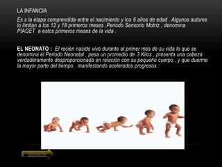 LA INFANCIA
Es s la etapa comprendida entre el nacimiento y los 6 años de edad . Algunos autores
lo limitan a los 12 y 18 primeros meses .Periodo Sensorio Motriz , denomina
PIAGET a estos primeros meses de la vida .


EL NEONATO : El recién nacido vive durante el primer mes de su vida lo que se
denomina el Periodo Neonatal , pesa un promedio de 3 Kilos , presenta una cabeza
verdaderamente desproporcionada en relación con su pequeño cuerpo , y que duerme
la mayor parte del tiempo . manifestando acelerados progresos :




    Siguiente
 