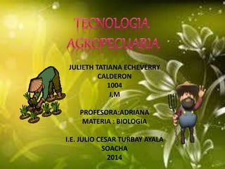 JULIETH TATIANA ECHEVERRY
CALDERON
1004
J,M
PROFESORA:ADRIANA
MATERIA : BIOLOGIA
I.E. JULIO CESAR TURBAY AYALA
SOACHA
2014
 