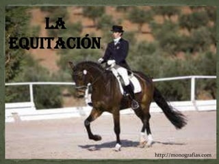 La
equitación   .




                 http://monografias.com
 