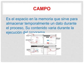 CAMPO
Es el espacio en la memoria que sirve para
almacenar temporalmente un dato durante
el proceso, Su contenido varia durante la
ejecución del programa.
 