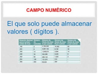 CAMPO NUMÉRICO
El que solo puede almacenar
valores ( dígitos ).
 