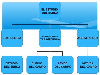 EL ESTUDIO
DEL SUELO

EDAFOLOGIA

ESTUDIO
DEL SUELO

AGRICULTURA
Y LA AGRONOMÍA

CUTIVO
DEL CAMPO

LEYES
DEL CAMPO

AGRIMENSURA

MEDIDA
DEL CAMPO

 