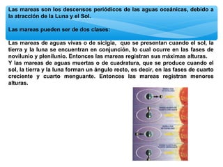 Las mareas son los descensos periódicos de las aguas oceánicas, debido a
la atracción de la Luna y el Sol.
Las mareas pueden ser de dos clases:
Las mareas de aguas vivas o de sicigia, que se presentan cuando el sol, la
tierra y la luna se encuentran en conjunción, lo cual ocurre en las fases de
novilunio y plenilunio. Entonces las mareas registran sus máximas alturas.
Y las mareas de aguas muertas o de cuadratura, que se produce cuando el
sol, la tierra y la luna forman un ángulo recto, es decir, en las fases de cuarto
creciente y cuarto menguante. Entonces las mareas registran menores
alturas.

 