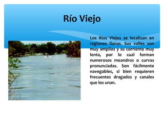 Río Viejo
∗ Los Ríos Viejos se localizan en
regiones llanas. Sus valles son
muy amplios y su corriente muy
lenta, por lo cual forman
numerosos meandros o curvas
pronunciadas. Son fácilmente
navegables, si bien requieren
frecuentes dragados y canales
que los unan.

 