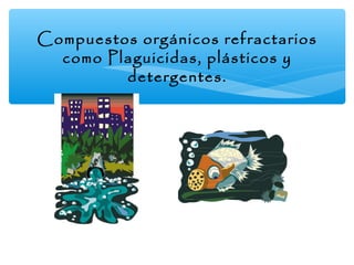Compuestos orgánicos refractarios
como Plaguicidas, plásticos y
detergentes.

 