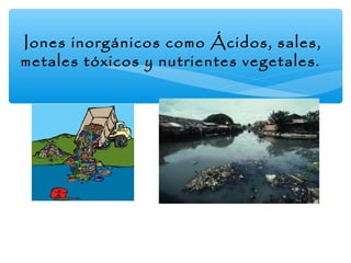 Iones inorgánicos como Ácidos, sales,
metales tóxicos y nutrientes vegetales.

 