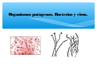 Organismos patógenos. Bacterias y virus.

 