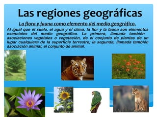 Las regiones geográficas
La flora y fauna como elemento del medio geográfico.
Al igual que el suelo, el agua y el clima, la flor y la fauna son elementos
esenciales del medio geográfico. La primera, llamada también
asociaciones vegetales o vegetación, de el conjunto de plantas de un
lugar cualquiera de la superficie terrestre; la segunda, llamada también
asociación animal, el conjunto de animal.

 