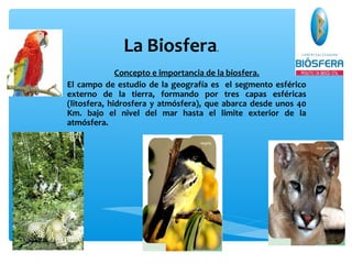 La Biosfera

.

Concepto e importancia de la biosfera.
El campo de estudio de la geografía es el segmento esférico
externo de la tierra, formando por tres capas esféricas
(litosfera, hidrosfera y atmósfera), que abarca desde unos 40
Km. bajo el nivel del mar hasta el limite exterior de la
atmósfera.

 