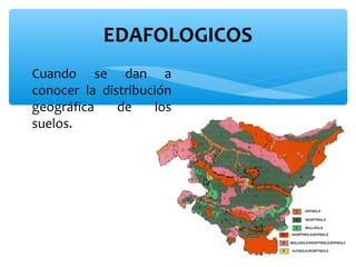 EDAFOLOGICOS
∗ Cuando se dan a
conocer la distribución
geográfica
de
los
suelos.

 