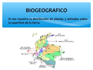 BIOGEOGRAFICO
∗ Si nos muestra la distribución de plantas y animales sobre
la superficie de la tierra.

 