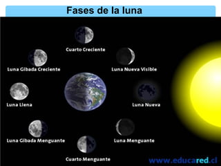 Fases de la luna

 