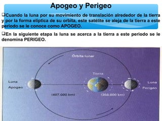 Apogeo y Perigeo
Cuando la luna por su movimiento de translación alrededor de la tierra
y por la forma elíptica de su orbita, este satélite se aleja de la tierra a este
periodo se le conoce como APOGEO.
En la siguiente etapa la luna se acerca a la tierra a este periodo se le
denomina PERIGEO.

 