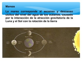 Mareas
La marea corresponde al ascenso y descenso
cíclico del nivel del agua de los océanos, causado
por la interacción de la atracción gravitatoria de la
Luna y el Sol con la rotación de la tierra

 