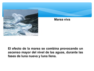 Marea viva

El efecto de la marea se combina provocando un
ascenso mayor del nivel de las aguas, durante las
fases de luna nueva y luna llena.

 
