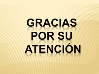 Tributacion Municipal 